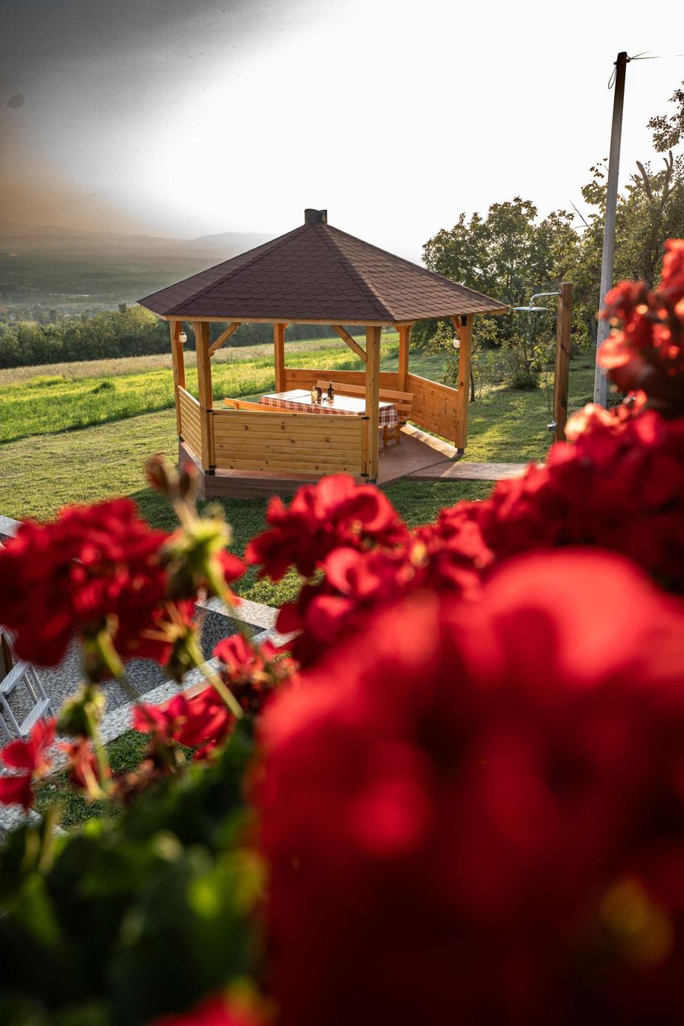 Villa Zlatni Prag - Kraljevo Esterno foto